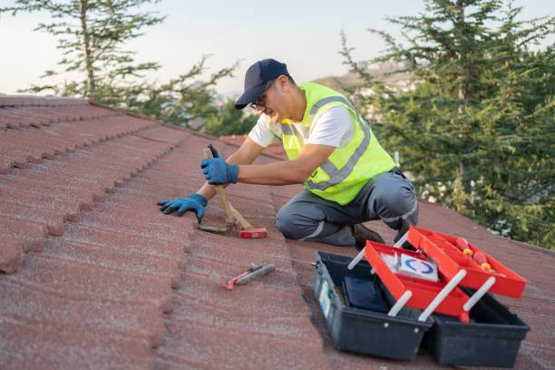 Professional Roofing Contractor in Bigfoot, TX
