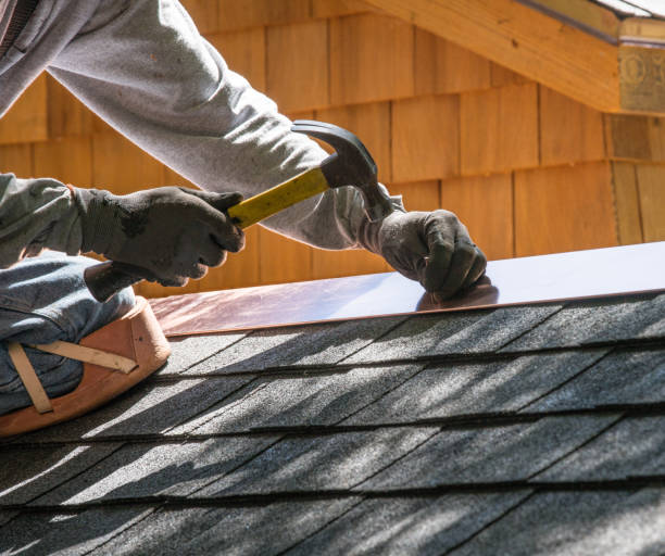 Best Roof Gutter Cleaning  in Bigfoot, TX